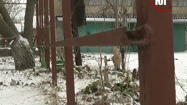 VIP  гараж вместо площадки