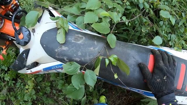 Заблудились в лесу. Боль и страдания. смотреть онлайн