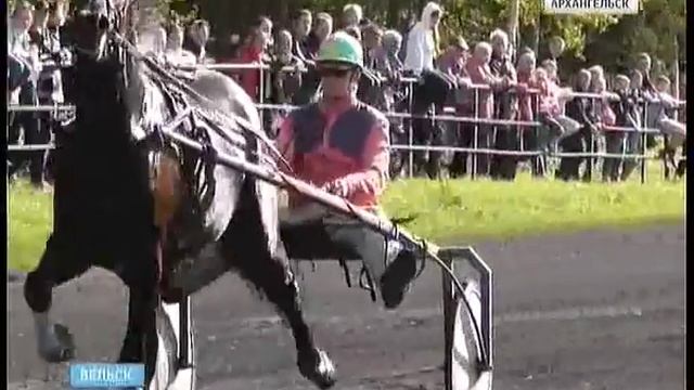 В Вельске на отремонтированном ипподроме прошли первые скачки смотреть онлайн