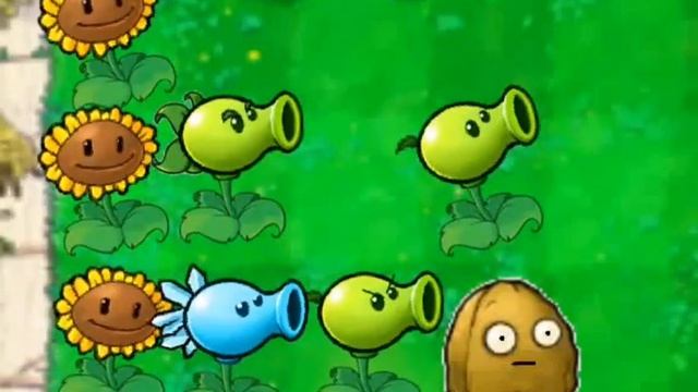 описание растений 1 ч. смотреть онлайн