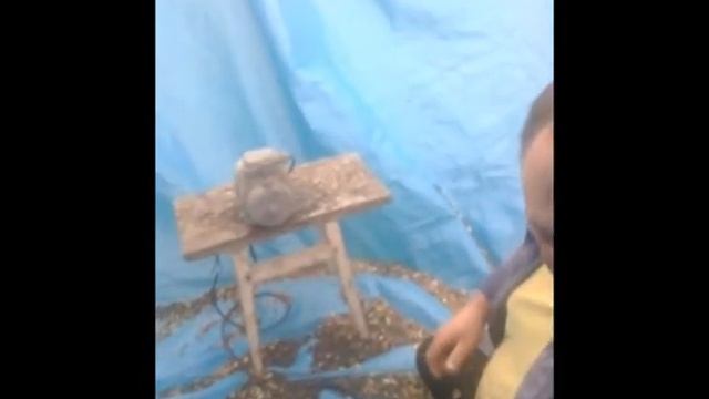 Выбиваем подсолнух при помощи электродвигателя смотреть онлайн