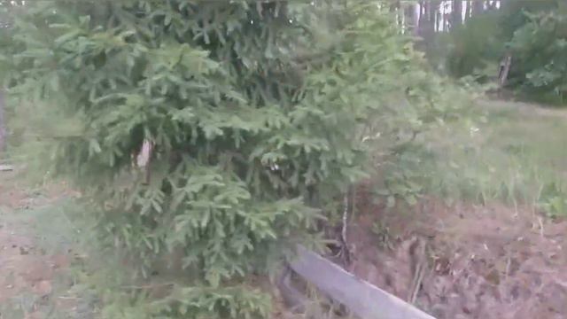 поездка к друзьям в г.Трубчевск смотреть онлайн