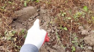 TIANXUN TX-850 и TANXUNZHE TC-110