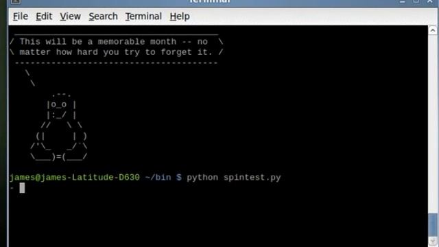 Spinning Python slash смотреть онлайн