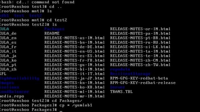 Yum installation and configuration with USB drive смотреть онлайн