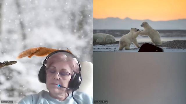 HIPNOZA REGRESIVA.RO-2541.Aureliu,lumea fizica mizerabila perceputa de partea sublim E LASCU si ELA смотреть онлайн