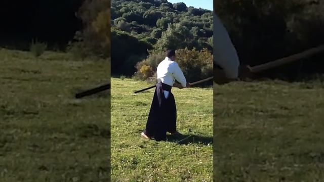 Aikido Annaba Naname Kiri-age Kiri -sage смотреть онлайн