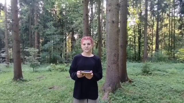 Участие во Всероссийской ежегодной акции «Культурная суббота.
Сказки народов России» смотреть онлайн