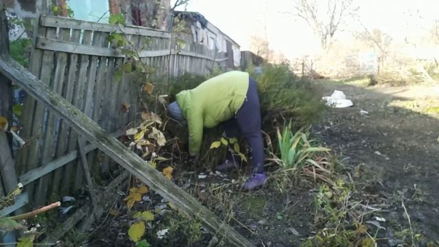 #243МОРОЗЫ НА КУБАНИ/УБОРКА ЦВЕТОВ/САЛАТ ИЗ СВЕКЛЫ смотреть онлайн