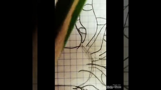 Как нарисовать дерево/видео урок/рисуем дерево смотреть онлайн