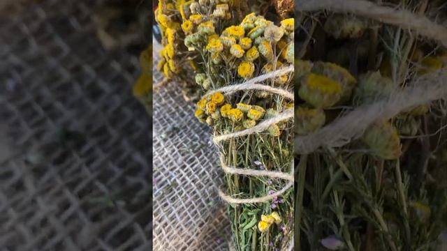 Скрутка для окуривания пижма вереск папоротник - мощное средство для чистки ауры #witchcraft смотреть онлайн
