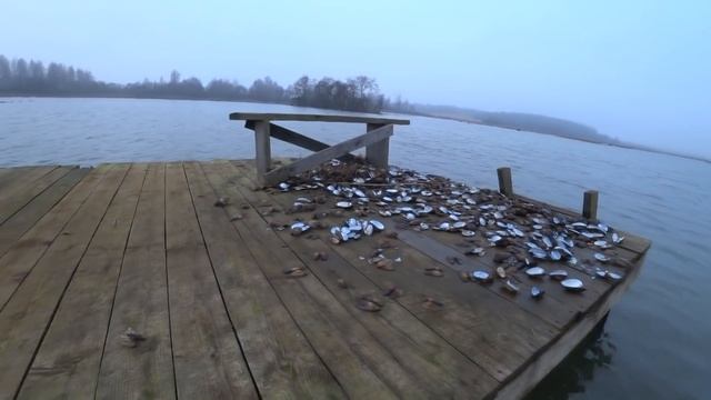 Ловля щуки на джиг в декабре. Приманки на щуку. Рыбалка на спиннинг зимой смотреть онлайн