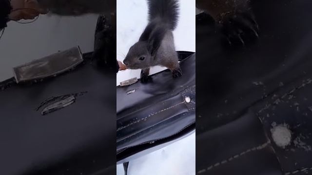 А что у тебя сумка закрыта? смотреть онлайн