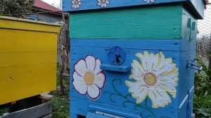 Изоляция маток!!! ЭФФЕКТИВНАЯ ПРАКТИЧЕСКАЯ ТЕХНОЛОГИЯ!!!  для начинающих пчеловодов!!!