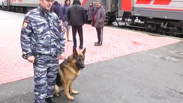 Курганский железнодорожный вокзал проверили на наличие опасных веществ смотреть онлайн
