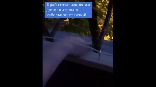 Как обезопасить незастекленный балкон для кошки смотреть онлайн