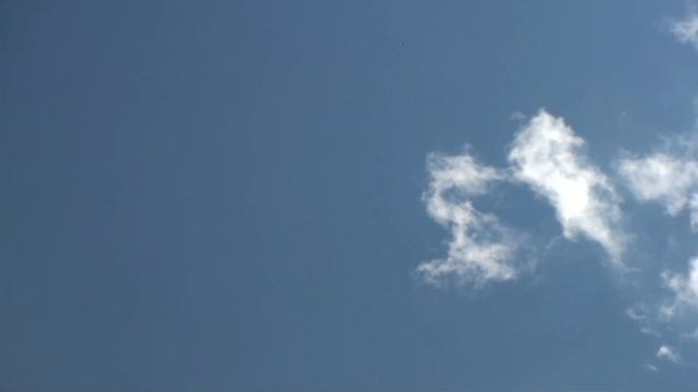 Серпастые голуби, в гостях у Николая Кудинова, с. Красноармейское, тел. хозяина 89277657013