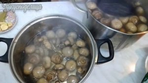 Маринованные шампиньоны на зиму Универсальный рецепт для  любых грибов