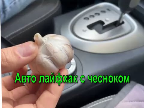 Способ крепкой фиксации автомобильной присоски регистратора при помощи чеснока смотреть онлайн