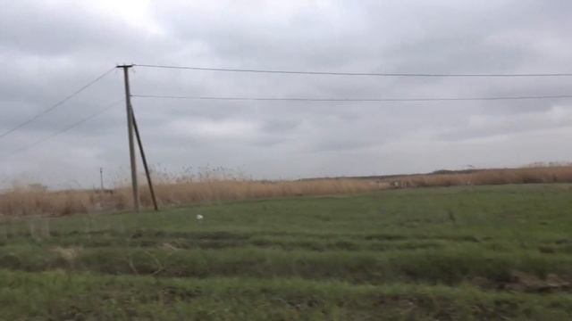 Здесь много толстолоба и амура смотреть онлайн