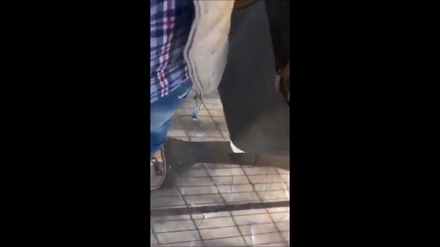 Аквариум с крокодилами и заплыв в холодной воде смотреть онлайн