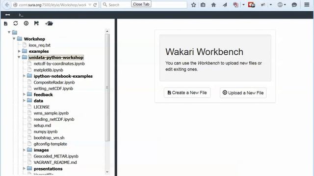 Wakari Enterprise Unidata Environment смотреть онлайн
