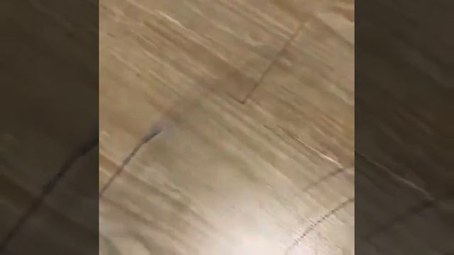Универсальная салфетка Гринвей AQUAMAGIC UJUT смотреть онлайн