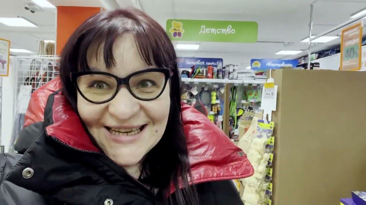 Природный коллапс на Ямале / наши итоги с выставки собак Влог смотреть онлайн