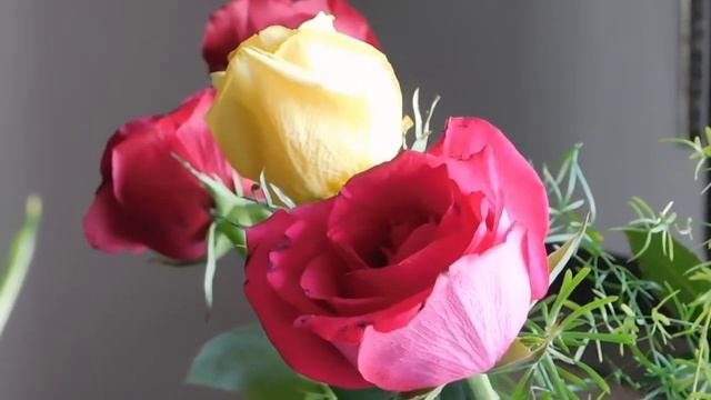 Relaxing Music Soothing Relaxation Beautiful Flowers смотреть онлайн