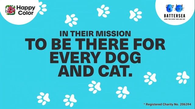 Happy Color has teamed up with @batterseadogsandcats to help animals in need! смотреть онлайн