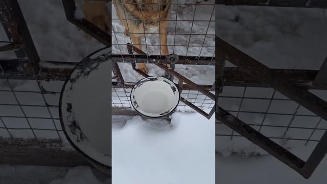 Утро В Деревне. смотреть онлайн