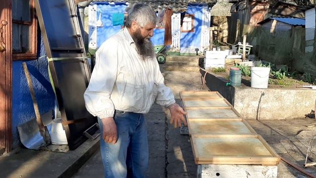 Пошло тепло и пошла пыльца и не только. смотреть онлайн