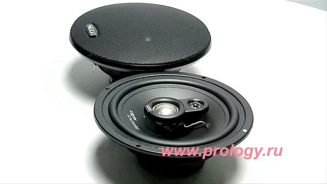 Prology NX 1823 смотреть онлайн