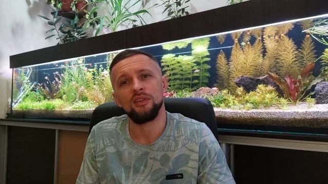 ВОПРОС / ОТВЕТ УДО, адаптация растений, водоросли, криптокаринавая болезнь, СО2, дистилят... смотреть онлайн