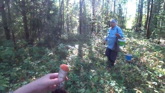 Офигеть! Ну оочень грибное место!!! Лето 2022. смотреть онлайн