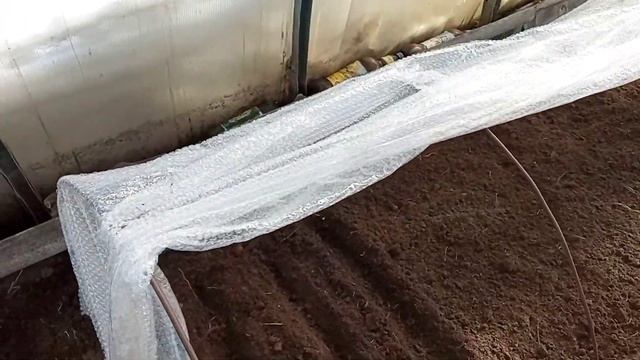 Пережили первую оттепель. В теплице жара. Что посадить в марте смотреть онлайн