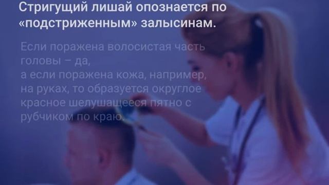 Мифы о стригущем лишае