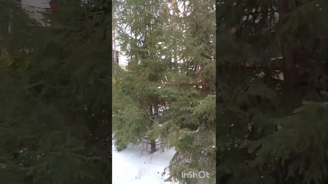 Санаторий " Красная гвоздика ". #санаторий#тюмень#лечение#оздоровление#отдых# смотреть онлайн