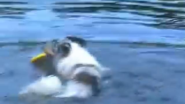 купание в р. Медведица смотреть онлайн