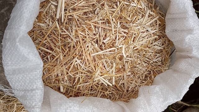 Костра конопель для строительства. Как определить качество? смотреть онлайн