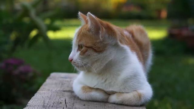Kend Heyati Жизнь в деревне. Winter Prep_ Pickling Cucumbers the Traditional Way ❄️ смотреть онлайн
