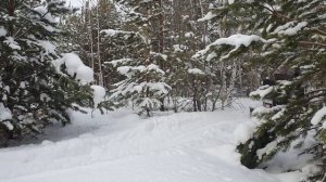 Буран на двух лыжах сравнения управляемости.