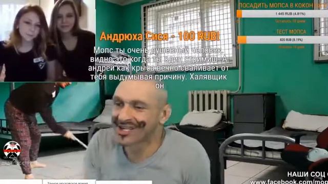 СТРИМ МОПСА МОПС ФЛИРТУЕТ С МИЛАШКАМИ В ЧАТ РУЛЕТКЕ смотреть онлайн