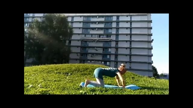 динамическая йога 2 часть_начало смотреть онлайн