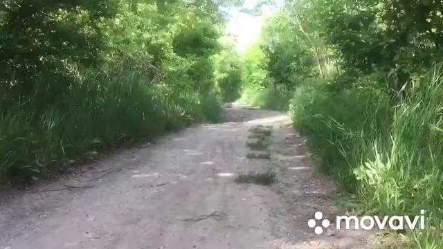Баш HSP XSTR смотреть онлайн