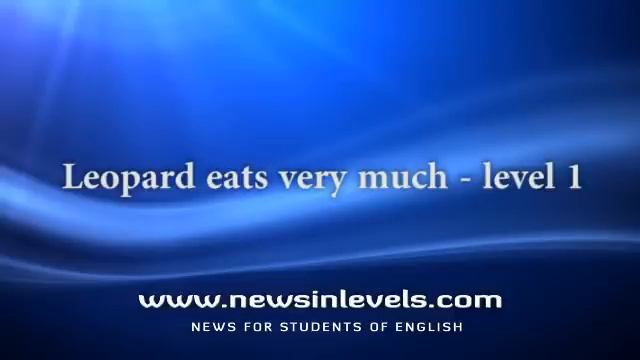 Leopard eats very much - level 1 смотреть онлайн