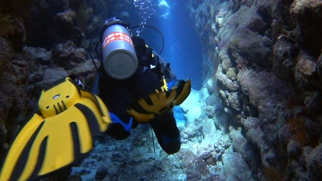 Татаринов Константин