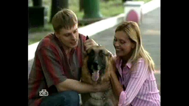 Возвращение мухтара 2. смотреть онлайн