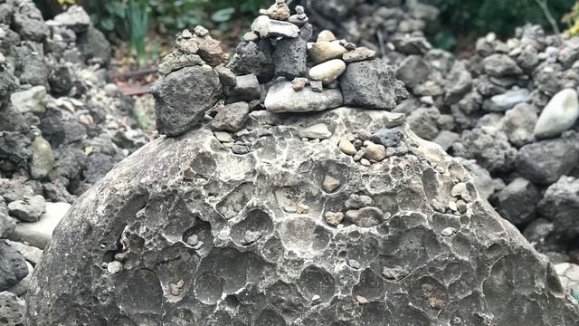 Camellia Hill - Jeju Botanical Garden, South Korea | Jeju Travel Vlog