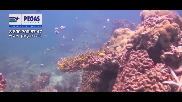 Отдых на Пхукете: водные развлечения смотреть онлайн